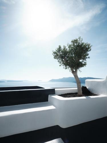 abyss a boutique design hotel