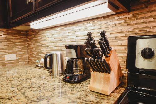 kasa lady bird lake austin