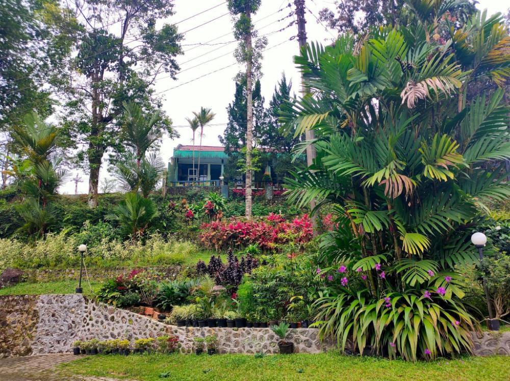 hotel anita baturaden