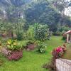 purwokerto