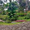 purwokerto