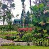 purwokerto