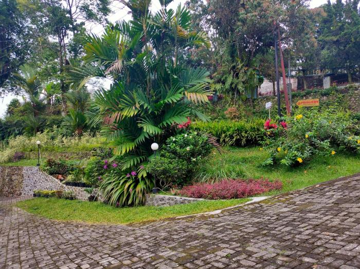 purwokerto