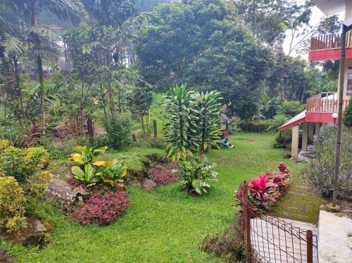 purwokerto