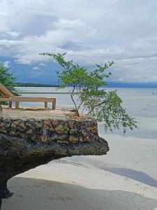 diamond de siquijor beach house