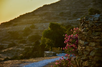 tinos
