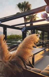 skopea inn exclusive