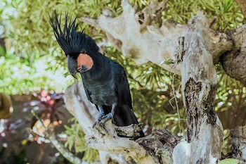 the village of angels