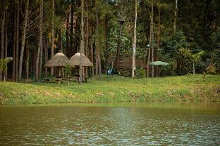Nyungu Yamawe Forest Park,,0 star