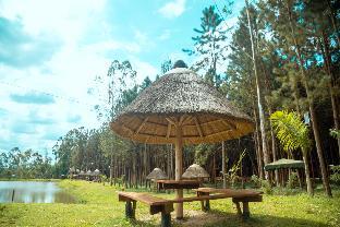 Nyungu Yamawe Forest Park,,0 star