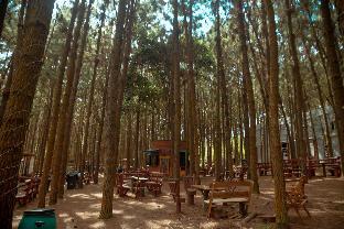 Nyungu Yamawe Forest Park,,0 star