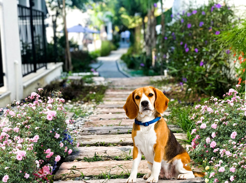 yali apart residence otel