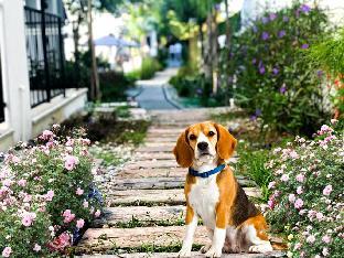 yali apart residence otel