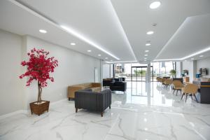 armoni deluxe suite