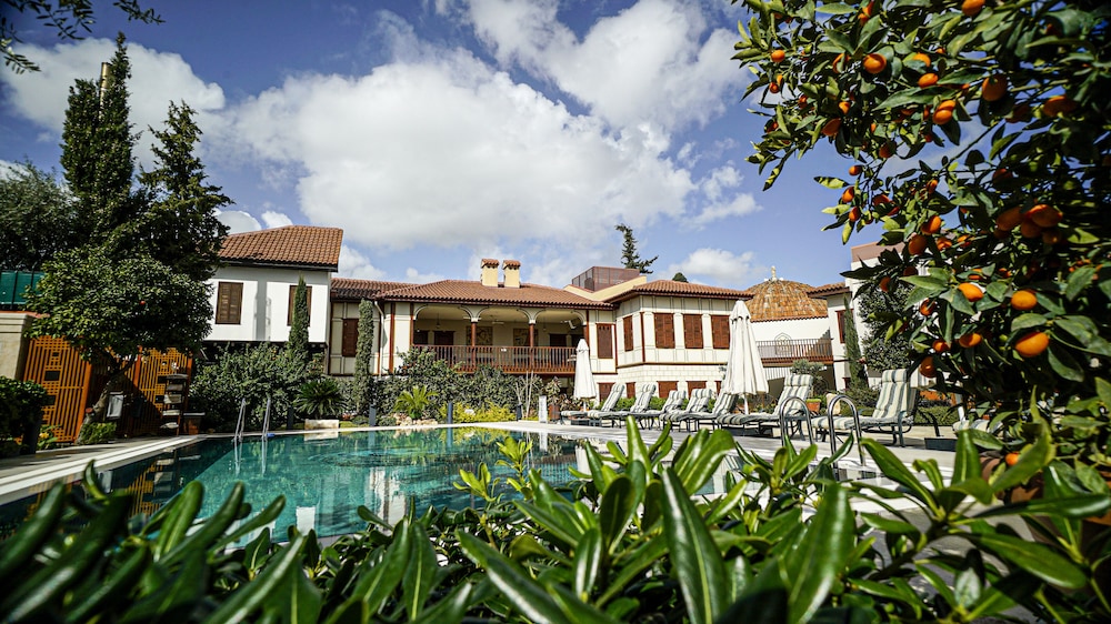 ruinadalia hotel adults only