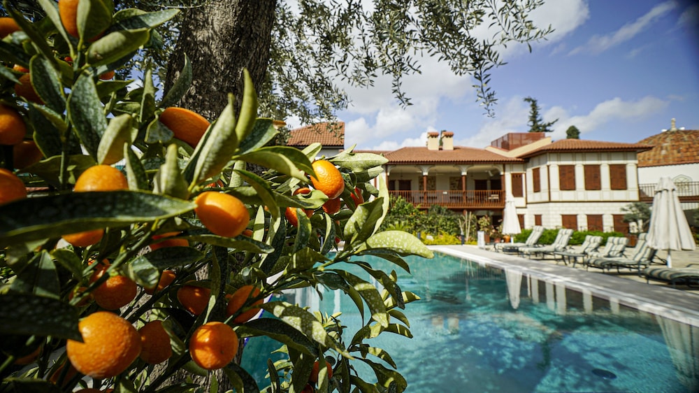 ruinadalia hotel adults only