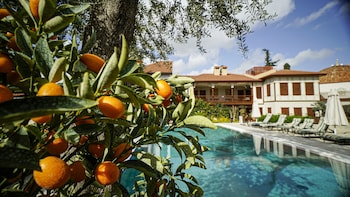 ruinadalia hotel adults only