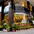 asia paradise hotel