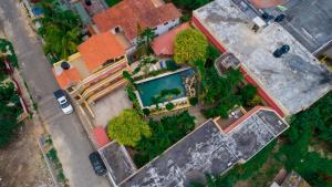 residence tropical garden