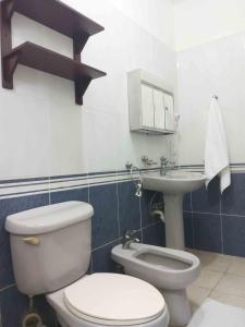 residence tropical garden