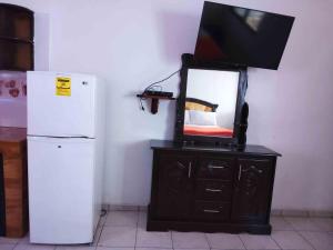 residence tropical garden