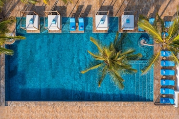 le mersenne zanzibar autograph collection