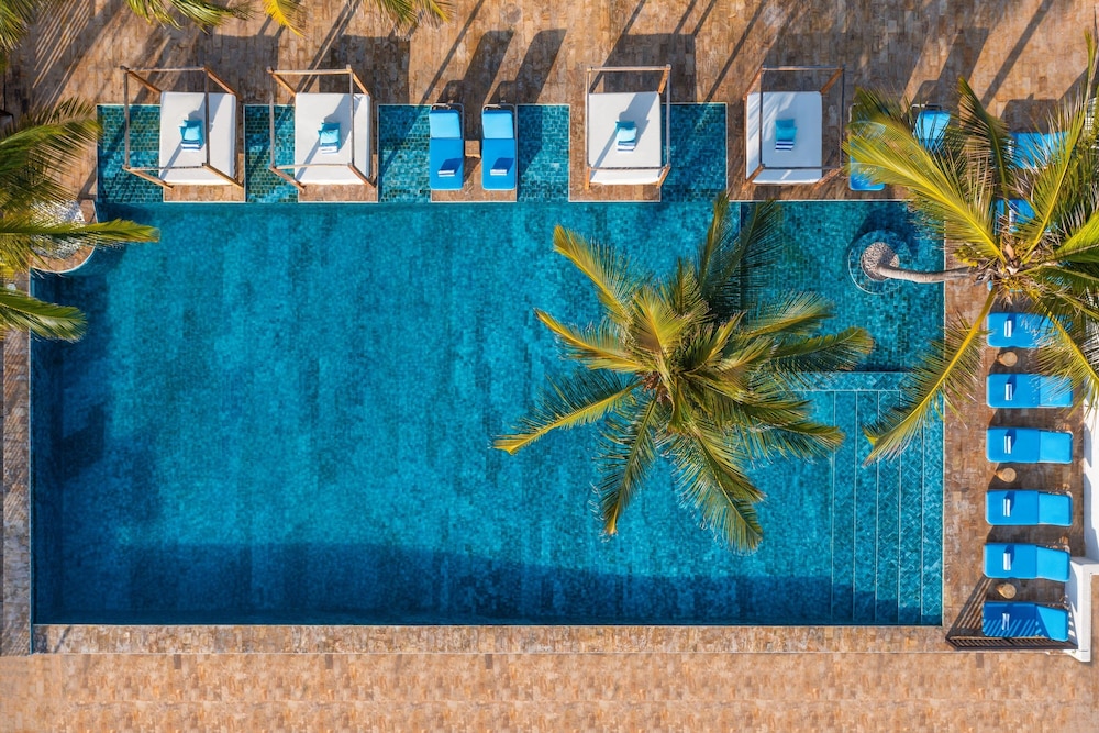 le mersenne zanzibar autograph collection