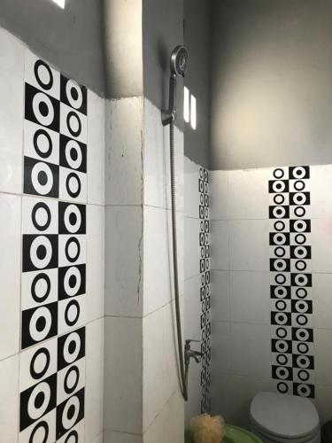 the carstensz homestay