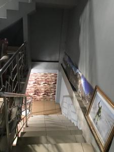 the carstensz homestay