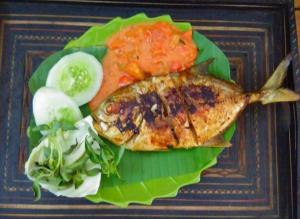 the carstensz homestay