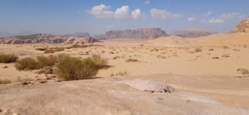 bedouin sunrise camp