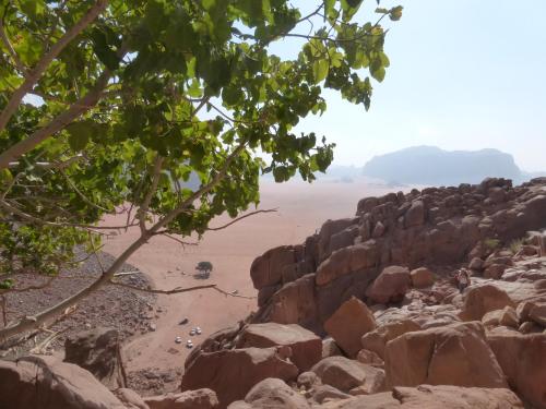 bedouin sunrise camp