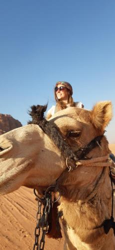 bedouin sunrise camp