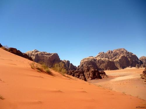 bedouin sunrise camp