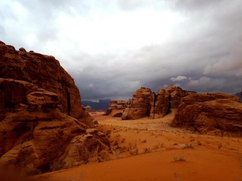 bedouin sunrise camp
