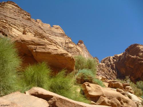 bedouin sunrise camp