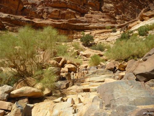 bedouin sunrise camp