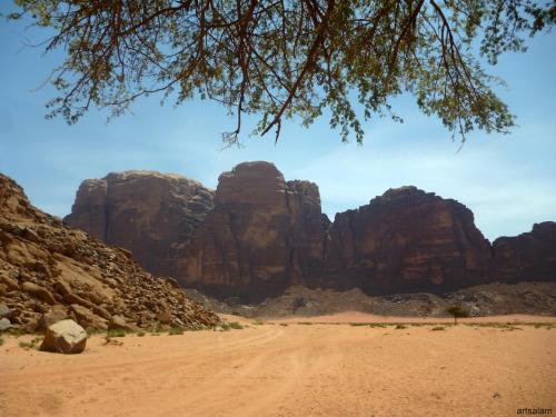 bedouin sunrise camp