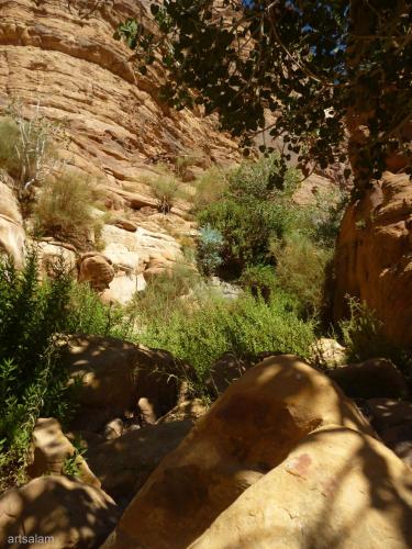 bedouin sunrise camp