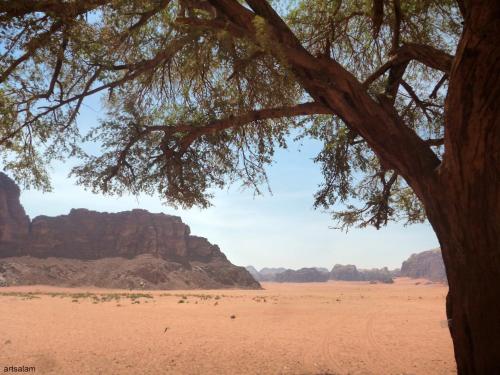 bedouin sunrise camp