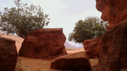 bedouin sunrise camp