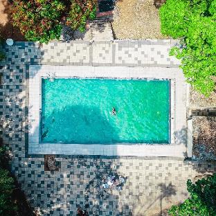 vythiri wild forest resort