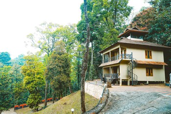 vythiri wild forest resort