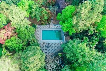 vythiri wild forest resort