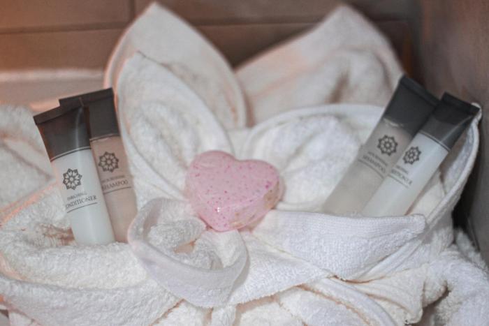 the cato suites hotel