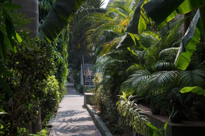 hotel ranthambore regency