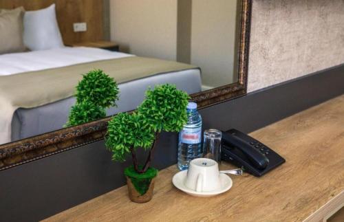 arion hotel baku