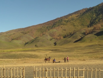 Fredelia Homestay,,2 star