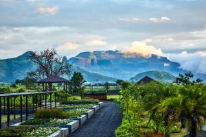 viveda wellness resort