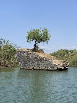 the river house
